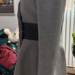 Venus  gray coat Photo 3