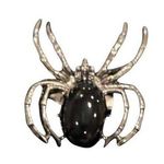Silver Spider Ring Photo 0