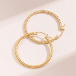 Round Planting Stainless Steel 18K gold plated‎ Hoop Earrings Photo 0