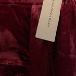 Anthropologie Burgundy Velvet Mini Photo 2