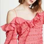 Alexis  Calypso Ruffled Embroidered Fringe Party Dress in Rouge Photo 3
