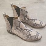 Lucky Brand ππ Jaime Snake Print Ankle Boots 9 Photo 3