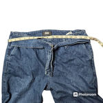 Paige  Genevieve Flare With Folded Waistband & belt in Cecilia Photo 5