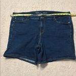 Torrid  perfect 5’’ short size 20 vintage stretch Photo 3