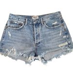 AGOLDE Parker Vintage Cut Off Shorts Photo 0