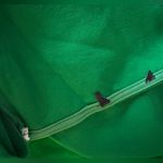 Elegant Green One Photo 3