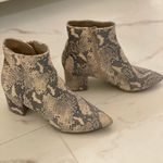 Steve Madden Brave Boots in Snakeskin Photo 4