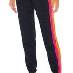 Aviator Nation  5 Stripe Sweatpants in Heather Navy Neon Photo 0