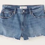 Abercrombie & Fitch NWT  Curve Love The Mom Short Mid Rise Photo 0