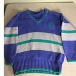 Liz Sport  Women Vintage Sweater  Sz.Med Blue Stripe EUC 90’s V-Neck Crest Y2K Photo 1