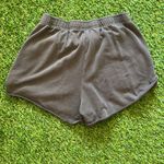 Playboy  x PacSun Bunny Rolled Shorts Medium Photo 2