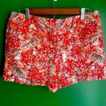 Loft Ann Taylor  Tropical Shorts‎ Vacation Vacay EUC Size 8 Photo 0