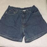 Jordache Vintage 90s Jean Shorts Size 15/16 Blue Striped Denim runs small Photo 0