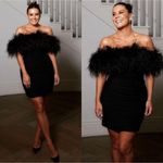Rachel Gilbert Zion Mini Dress in Black with Feather Trim Size US 4 Photo 2