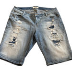 Torrid  Light Blue Distressed Jean Shorts Photo 0