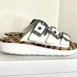 Marc Jacobs Emerson Sport Sandals Slide Buckles Mules Flip Flop Sz 7 Shoes Photo 0