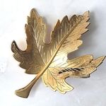 Vintage Gold Tone Maple Leaf Pin Brooch Photo 1