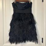 EXPRESS Black Feather Cocktail Dress Photo 1