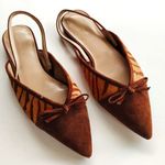 Ann Taylor NEW Brown Zebra Print Calf Hair Fur Pointed Toe Flats WOMENS SIZE 7M Photo 0