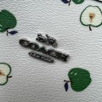 Coach  City Tote With Apple Print Photo 7