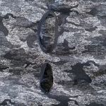 Gymshark Camo Workout Long Sleeve Photo 2