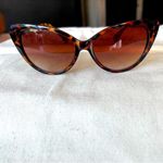 Tortoiseshell Style Cat Photo 7