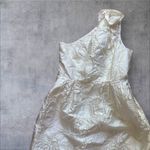 Halston Heritage Ivory Jacquard Mini Dress With Pockets Size 8 Photo 11