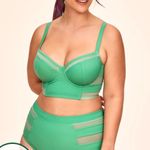 Adore Me Daeny Contour Plus Bikini Photo 0