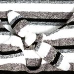 Cupcakes and Cashmere NWT  Ivory Soft Knit "Kassia" Tank Top Photo 3