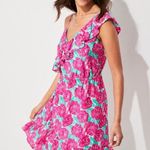Vineyard Vines Kentucky Derby Painted Rose Ruffle Mini Dress Sz.2 NWT Photo 2