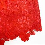 Lovers + Friends x Revolve Songbird Lace V-Neck Tie Back Romper: Red Photo 9