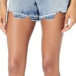 AG Adriano Goldschmied  Alexxis Short High-Rise Wedgie Size 28 NWT Photo 0