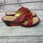 Alegria  Lana Pink Floral Leather Wedge Sandals Size 39 US 9 Photo 1