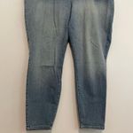 Torrid Plus Size Premium Stretch Light Wash Jegging Mid Rise Jeggings Jeans 24 R Photo 0