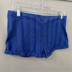 Free People NWOT Blue Striped Short Shorts With Side Zipper Size M Photo 1