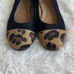 Aerosoles  Bechincolor Black Suede Ballet Flat Leopard Calf Hair Toe Size 7.5 ♣️ Photo 4