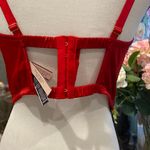Victoria's Secret Red Lace Bustier Photo 2