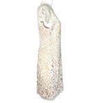 Tadashi Shoji Corded Embroidery on Tulle Cap Sleeve Dress White on Beige Size 12 Photo 2