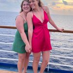 EXPRESS Pink Flirty Dress Photo 1