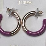 J.Crew Purple and Gold Tone Hoop Fashion Statement Earrings NWT Photo 3