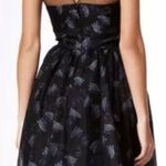 Jill Stuart Jill  Floral Print Organza Mesh Fit & Flare Black Cocktail Dress SZ 6 Photo 1