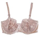Victoria's Secret  Dream Angel Push-Up Without Padding Velvet Lace Bra Size 34DDD Photo 0
