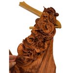 AMUR Aviva Rosette Copper Pleated Gown Size 2 | One Shoulder Formal Dres Orange Photo 7