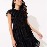 Loft Holiday Black Leopard Print Velvet Swing Dress Photo 0