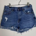 Pistola Mid-waisted  distressed denim shorts Photo 3