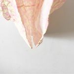 Show Me Your Mumu  Caroline Mini Dress in Lemonade Cheetah Photo 4