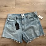 Paige NWT  Archie Shorts Size 31 Photo 2