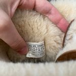 UGG women’s bailey bow tan  boots Photo 6