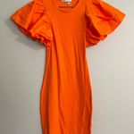 ZARA NWT Ribbed Ruffle Sleeve Mini Dress Photo 1