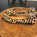 Kelly & Katie  Animal Print Flats Photo 1